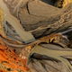 Image for article titled Epic and intimate glimpses of nature from the Sony World Photography Awards